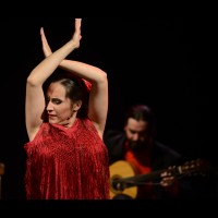 El flamenco es ansí