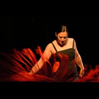 Choni Cía flamenca: Dos en compañía