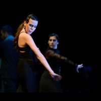 Conservatorio de Danza. Talleres 2013 de Baile Flamenco