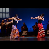 Conservatorio de Danza. Talleres 2013 de Baile Flamenco