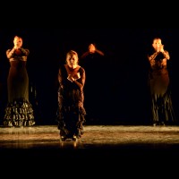 II muestra de Danza y Flamenco del estudio de Oscar Quero
