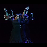 Noche en blanco: Danza con el Conservatorio de Danza
