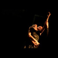 Provisional danza (Carmen Werner): Eternos