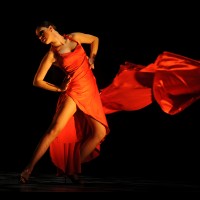 Festival de Tango de Granada: Perfiles