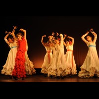Conservatorio de Danza. Talleres Danza Española