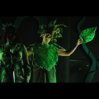 La Petite: Cabaret verde