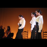 Talleres de baile flamenco