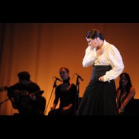 Talleres de baile flamenco
