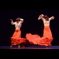 El flamenco es ansi