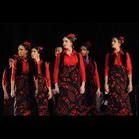 Conservatorio de Danza: Talleres de Baile flamenco
