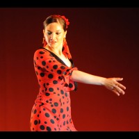 Conservatorio de Danza: Talleres de Baile flamenco