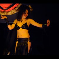 Cabaret Carnaval en Granada10