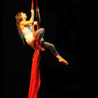 Muestra fin de curso de telas y trapecio en Animasur