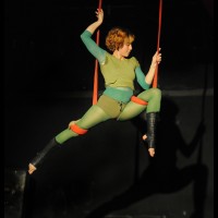 Muestra fin de curso de telas y trapecio en Animasur