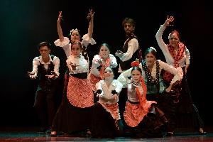 Proyecto Flamenco