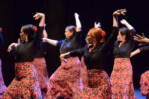 Escuela de danza y flamenco Lucía Guarnido