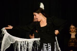 Compañía Flamenca Noemí Álvarez