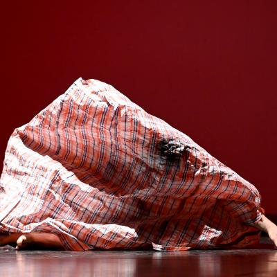 Fotografía de V gala de Artes escénicas en la diversidad - SuperarT