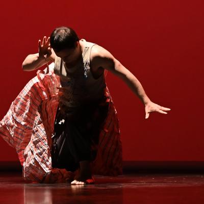 Fotografía de V gala de Artes escénicas en la diversidad - SuperarT