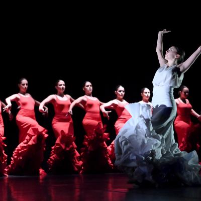 Fotografía de La creación en Alhendín - Conservatorio de Danza