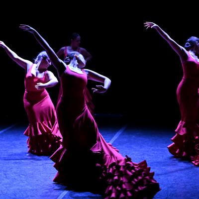 Fotografía de La creación (previo al estreno) - Conservatorio de Danza