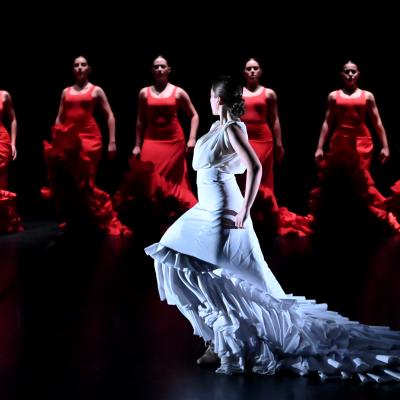 Fotografía de La creación (previo al estreno) - Conservatorio de Danza
