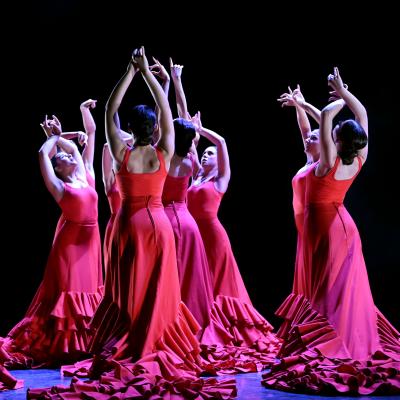 Fotografía de La creación (estreno) - Conservatorio de Danza