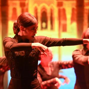 Fotografía de Gala Flamenco (2-función) - Conservatorio de Danza
