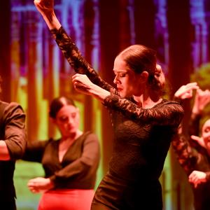 Fotografía de Gala Flamenco (2-función) - Conservatorio de Danza