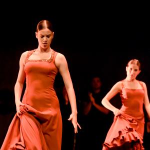 Fotografía de Gala Flamenco (2-función) - Conservatorio de Danza