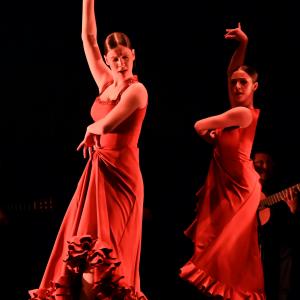 Fotografía de Gala Flamenco (2-función) - Conservatorio de Danza
