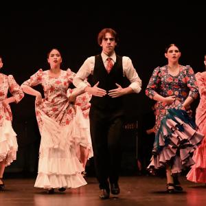 Fotografía de Gala Flamenco (2-función) - Conservatorio de Danza