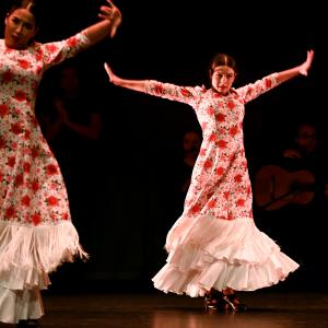 Fotografía de Gala Flamenco (2-función) - Conservatorio de Danza
