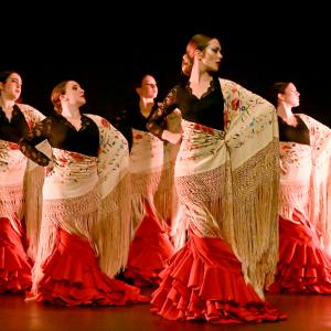 Fotografía de Gala Flamenco (2-función) - Conservatorio de Danza