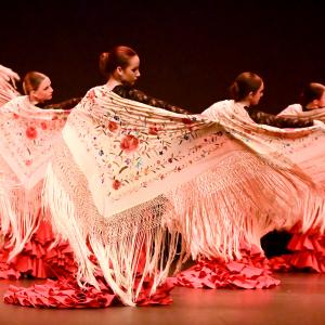 Fotografía de Gala Flamenco (2-función) - Conservatorio de Danza