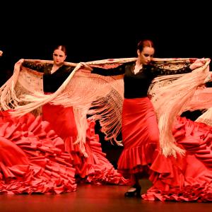 Fotografía de Gala Flamenco (2-función) - Conservatorio de Danza