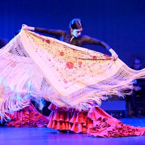 Fotografía de Gala Flamenco (2-función) - Conservatorio de Danza