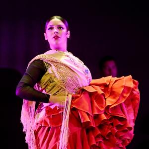 Fotografía de Gala Flamenco (2-función) - Conservatorio de Danza