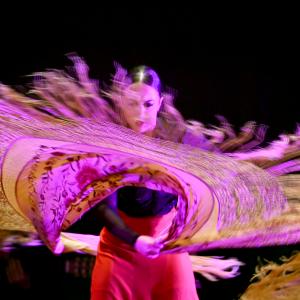 Fotografía de Gala Flamenco (2-función) - Conservatorio de Danza