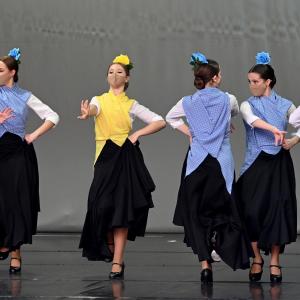 Fotografía de Gala de Folklore - Conservatorio de Danza