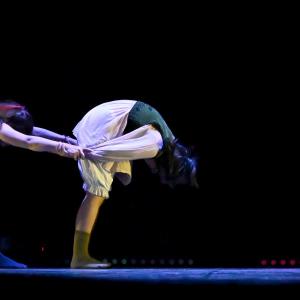 Fotografía de Un capítulo de la Historia de la civilización - Conservatorio de Danza