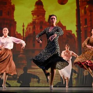 Fotografía de Las rosas (estreno) - Conservatorio de Danza