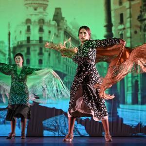 Fotografía de Las rosas (estreno) - Conservatorio de Danza