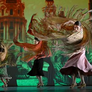 Fotografía de Las rosas (estreno) - Conservatorio de Danza