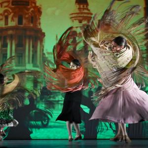 Fotografía de Las rosas (estreno) - Conservatorio de Danza