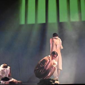 Fotografía de Las rosas (estreno) - Conservatorio de Danza