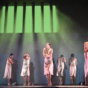 Fotografía de Las rosas (estreno) - Conservatorio de Danza