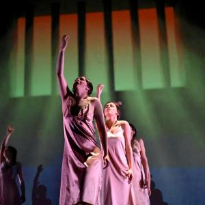 Fotografía de Las rosas (estreno) - Conservatorio de Danza