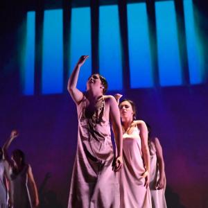 Fotografía de Las rosas (estreno) - Conservatorio de Danza