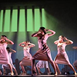 Fotografía de Las rosas (estreno) - Conservatorio de Danza